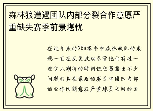 森林狼遭遇团队内部分裂合作意愿严重缺失赛季前景堪忧