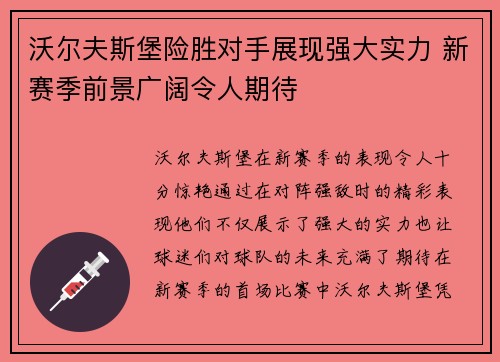 沃尔夫斯堡险胜对手展现强大实力 新赛季前景广阔令人期待